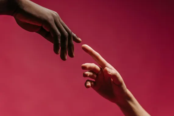 Iwild Casino Stuðningur